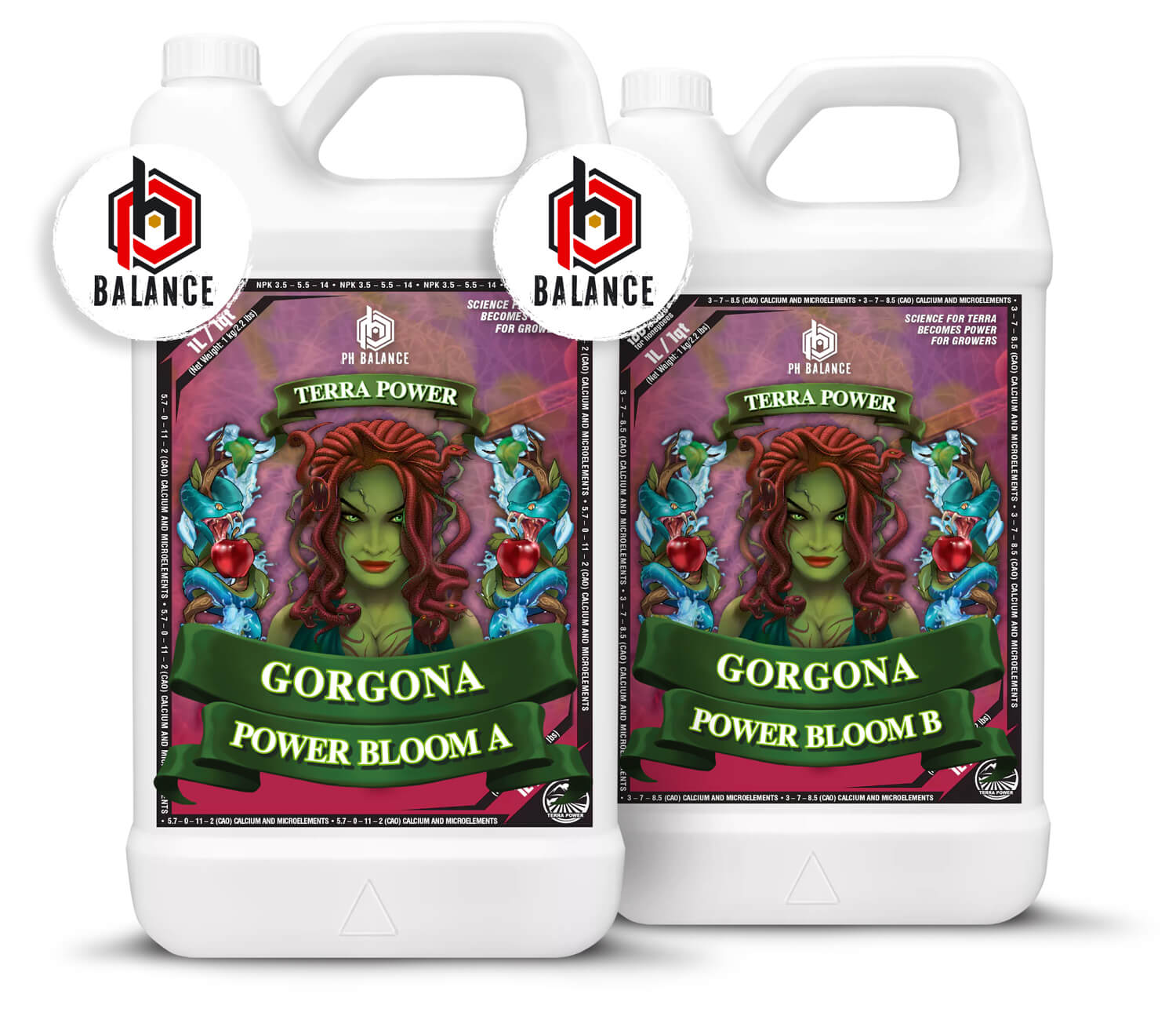 Terrapower Gorgona Power Bloom A + B 